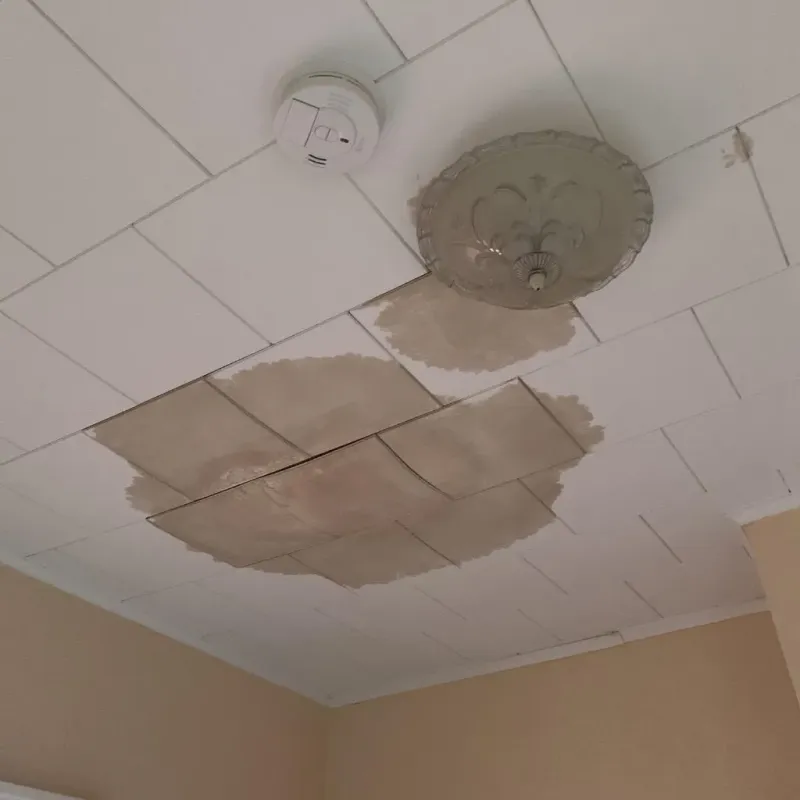 Ceiling Water Damage Repair in Uhland, TX