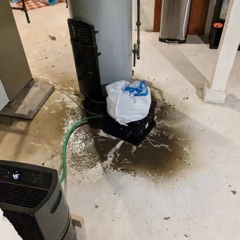 Sewage Backup Cleanup Service in Uhland, TX